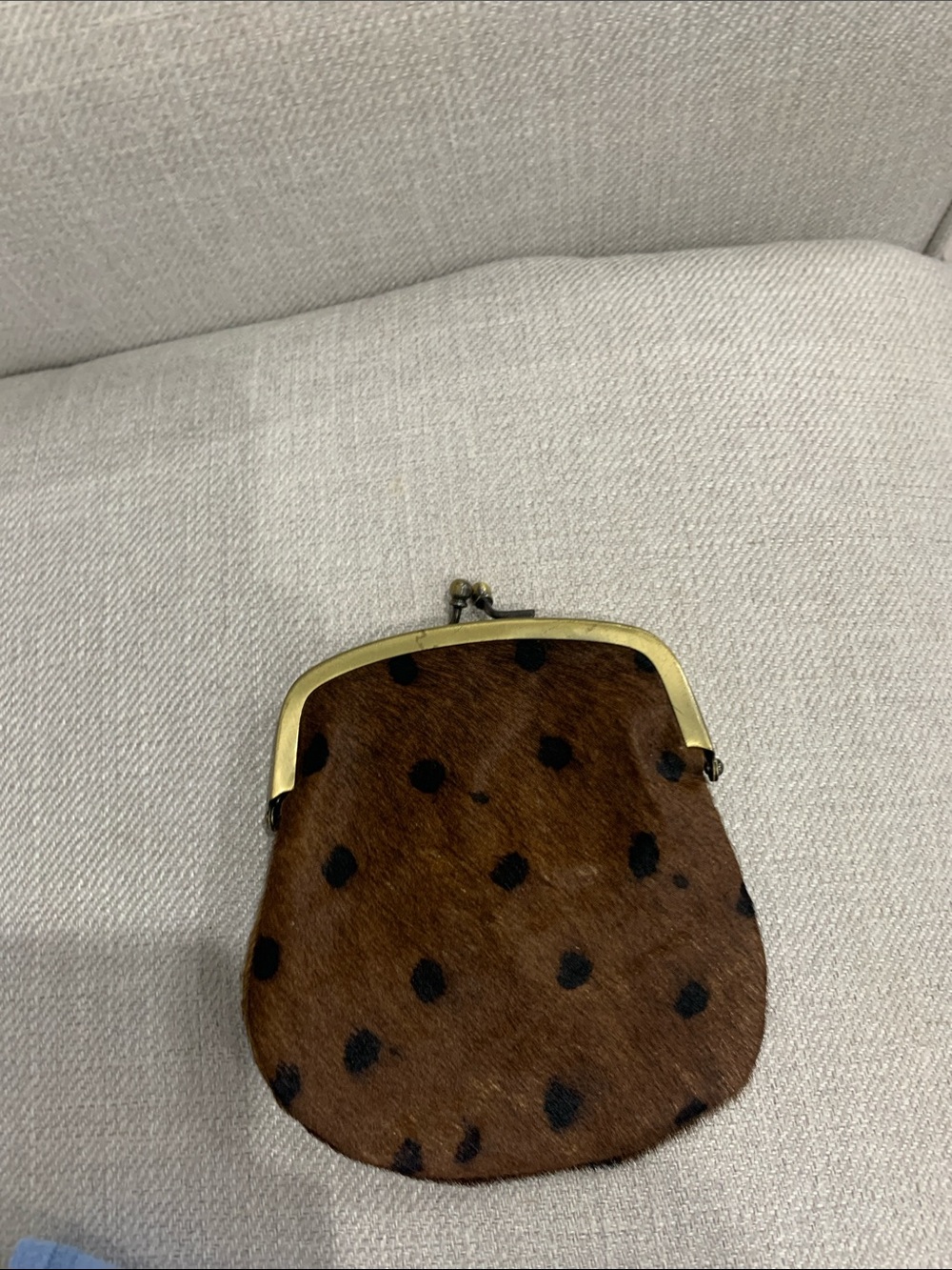 Brown cowhide Bougainvillaea Spotted Coin Purse with Brass Frame